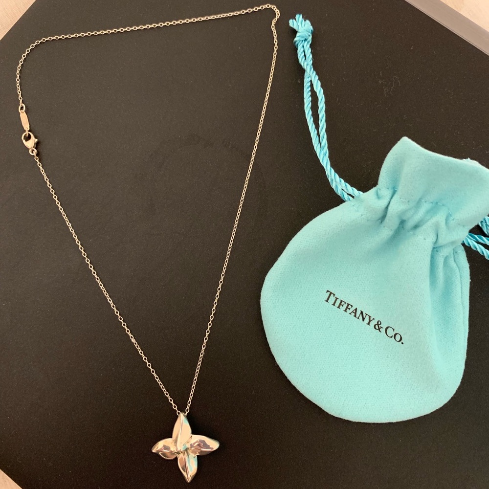 Tiffany & Co Sterling Silver Necklace